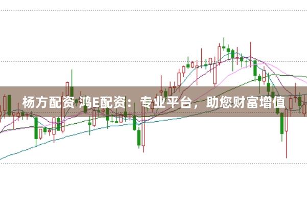 杨方配资 鸿E配资：专业平台，助您财富增值