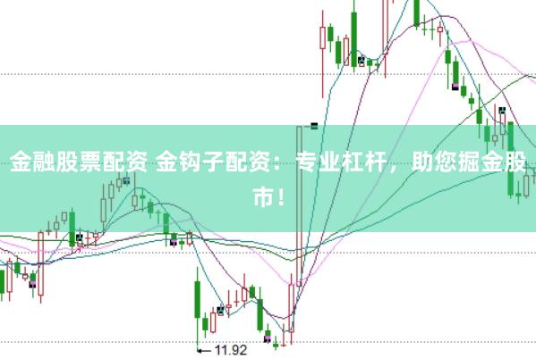 金融股票配资 金钩子配资：专业杠杆，助您掘金股市！