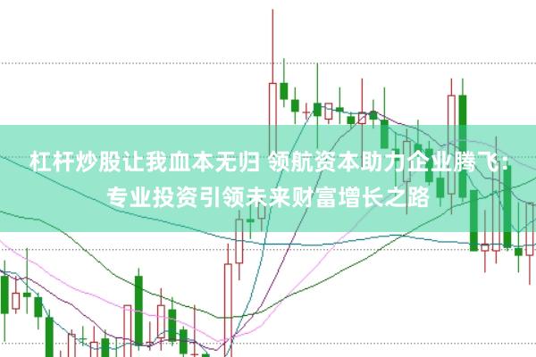 杠杆炒股让我血本无归 领航资本助力企业腾飞：专业投资引领未来财富增长之路