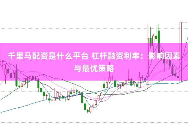 千里马配资是什么平台 杠杆融资利率：影响因素与最优策略