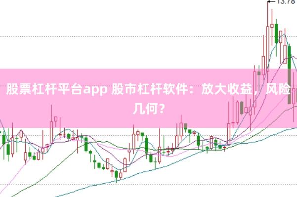 股票杠杆平台app 股市杠杆软件：放大收益，风险几何？