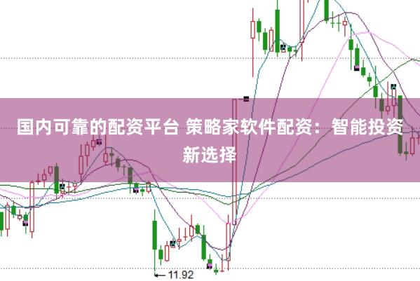 国内可靠的配资平台 策略家软件配资：智能投资新选择
