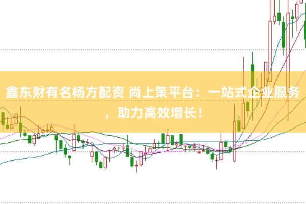 鑫东财有名杨方配资 尚上策平台：一站式企业服务，助力高效增长！