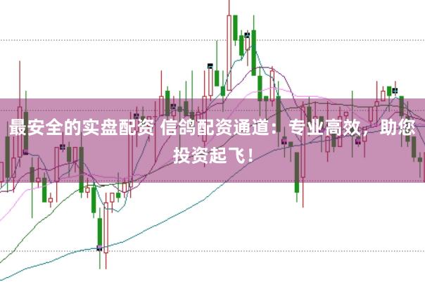 最安全的实盘配资 信鸽配资通道：专业高效，助您投资起飞！