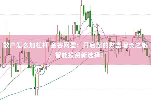散户怎么加杠杆 金谷网盈：开启您的财富增长之旅，智能投资新选择！