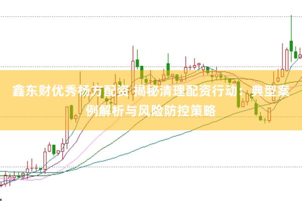 鑫东财优秀杨方配资 揭秘清理配资行动：典型案例解析与风险防控策略