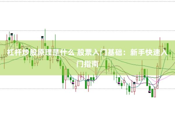 杠杆炒股原理是什么 股票入门基础：新手快速入门指南