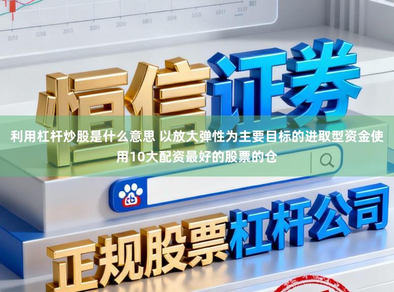 利用杠杆炒股是什么意思 以放大弹性为主要目标的进取型资金使用10大配资最好的股票的仓
