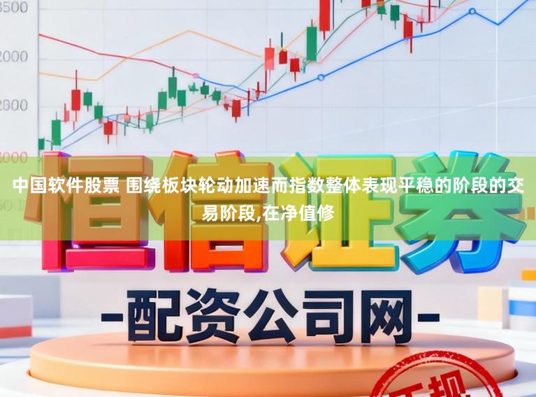 中国软件股票 围绕板块轮动加速而指数整体表现平稳的阶段的交易阶段，在净值修