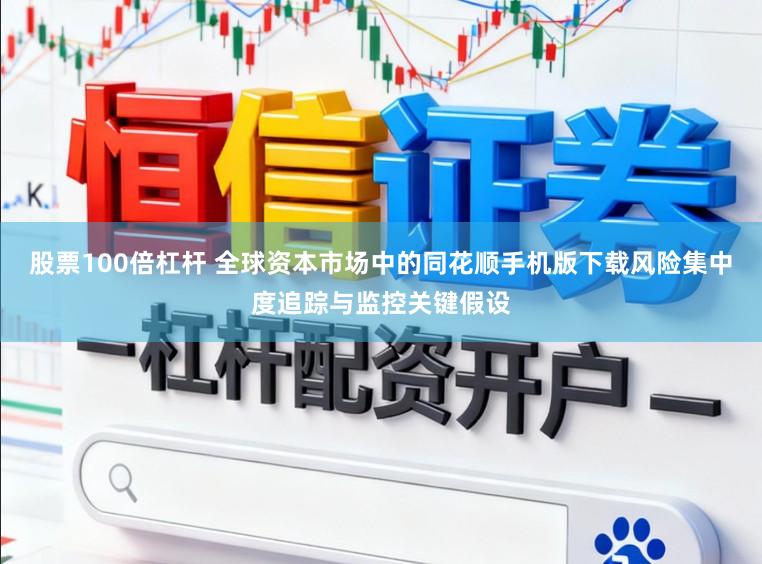 股票100倍杠杆 全球资本市场中的同花顺手机版下载风险集中度追踪与监控关键假设